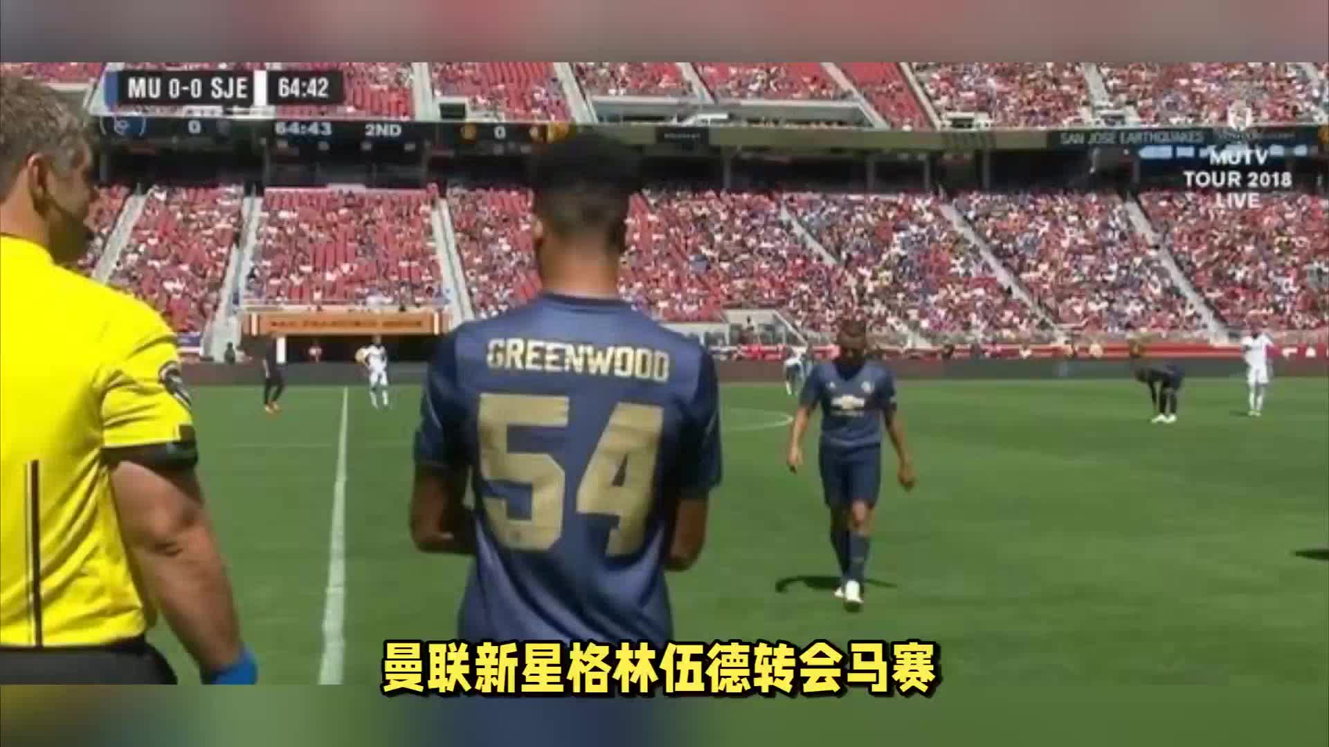 杯这一决